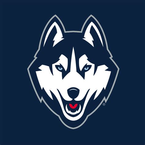 pnb uconn|uconn pnb minor.